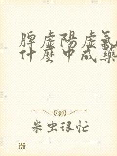脾虚阳虚气虚吃什么中成药