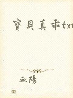 宝贝真乖txt封面