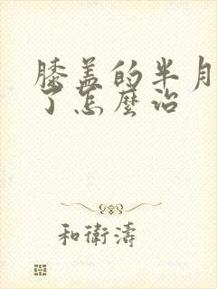 膝盖的半月板伤了怎么治