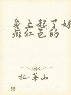 身上起了好多干癣红色的封面