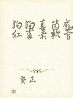 狗狗真菌感染用红霉素软膏管用吗