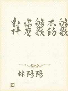 对你够不够好是什么歌的歌词