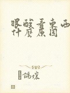 眼酸看东西模糊什么原因