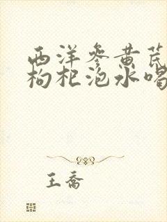 西洋参黄芪红枣枸杞泡水喝的功效与禁忌封面