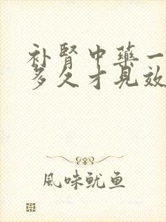 补肾中药一般吃多久才见效