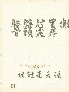 胳膊肘里侧的小骨头尖疼封面
