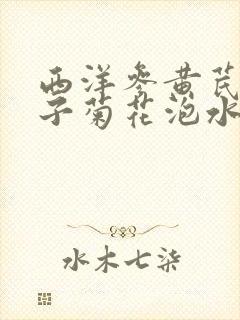 西洋参黄芪枸杞子菊花泡水的功效
