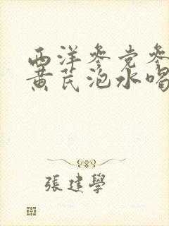 西洋参党参麦冬黄芪泡水喝