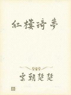 红楼琦梦