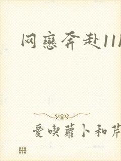 网恋奔赴11h