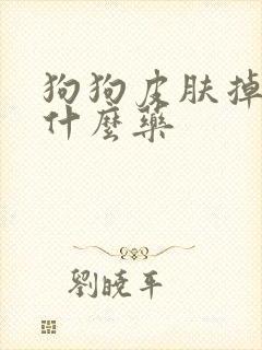 狗狗皮肤掉毛用什么药