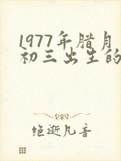1977年腊月初三出生的人命运封面