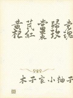 黄芪当归党参枸杞红枣玫瑰花泡水喝