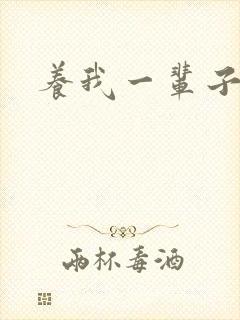 养我一辈子封面