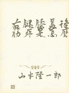右腿膝盖后面的筋疼是怎么回事