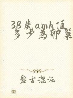 38岁amh值多少为卵巢早衰