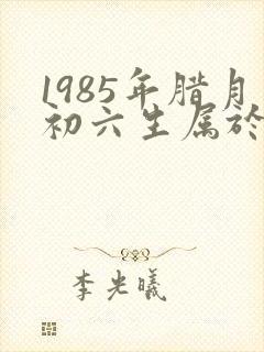 1985年腊月初六生属于什么命封面
