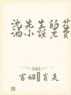 沈先生的花式调酒小说免费阅读