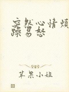 突然心情烦躁暴躁易怒封面