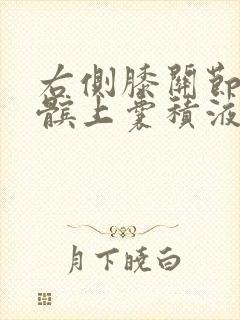 右侧膝关节腔及髌上囊积液封面