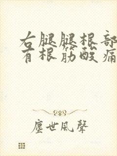 右腿腿根部感觉有根筋酸痛