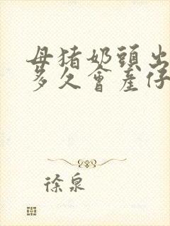 母猪奶头出奶了多久会产仔