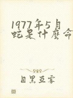 1977年5月蛇是什么命
