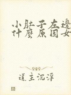小肚子左边胀痛什么原因女性