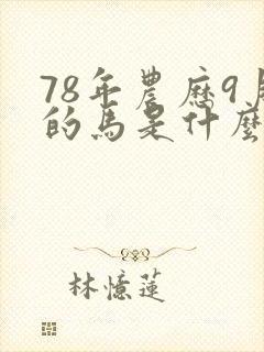 78年农历9月的马是什么命