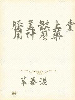 膝盖髌上囊积液用什么药