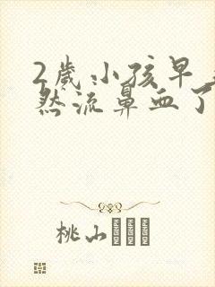 2岁小孩早上突然流鼻血了封面