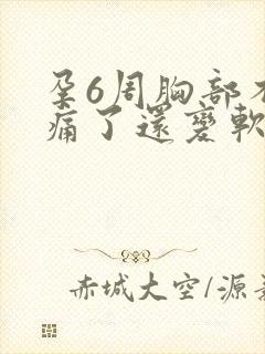 孕6周胸部不胀痛了还变软正常吗封面