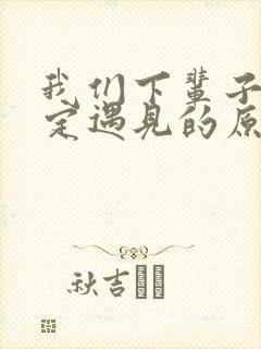 我们下辈子不一定遇见的原唱歌词
