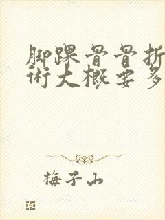 书籍封面