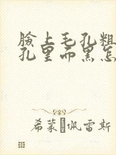 脸上毛孔粗大毛孔里面黑怎么办