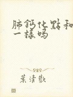 肺钙化点和结节一样吗