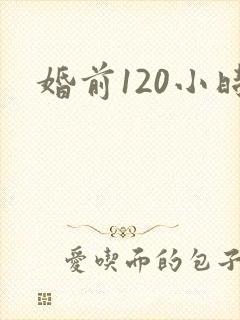 婚前120小时封面