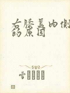 右膝盖内侧疼痛的原因