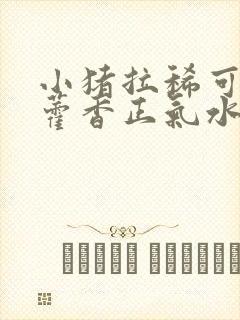 小猪拉稀可以喂藿香正气水吗