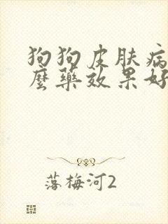 狗狗皮肤病擦什么药效果好