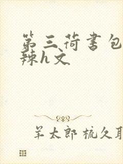第三荷书包网高辣h文