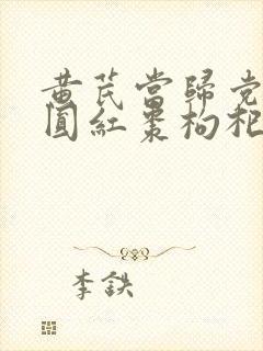 黄芪当归党参桂圆红枣枸杞茶的功效