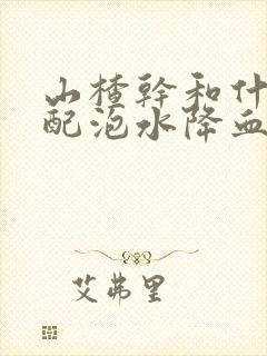 山楂干和什么搭配泡水降血脂