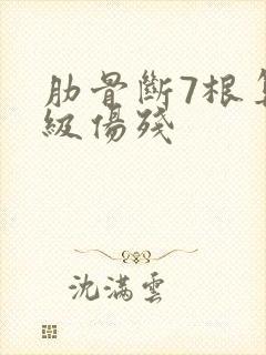 肋骨断7根算几级伤残