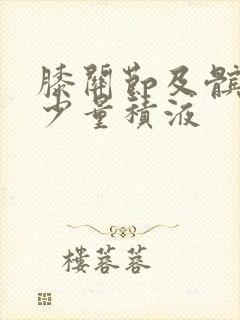 膝关节及髌上囊少量积液封面