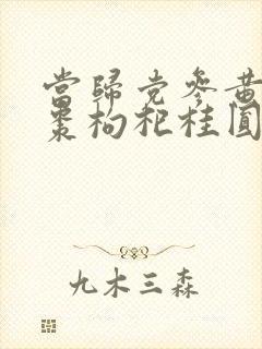 当归党参黄芪红枣枸杞桂圆的功效与作用封面