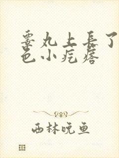 睾丸上长了个白色小疙瘩
