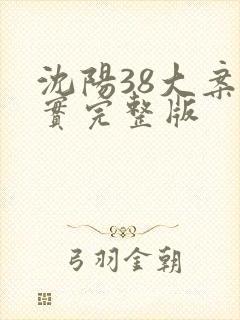 沈阳38大案纪实完整版