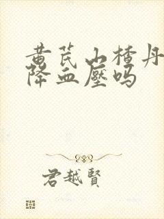黄芪山楂丹参能降血压吗封面