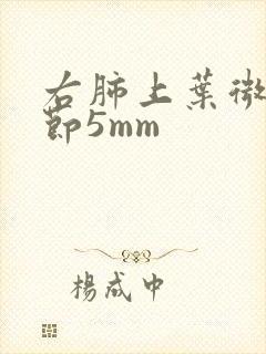 右肺上叶微小结节5mm